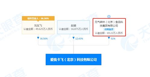 信息咨詢服務 開啟智慧決策的金鑰匙